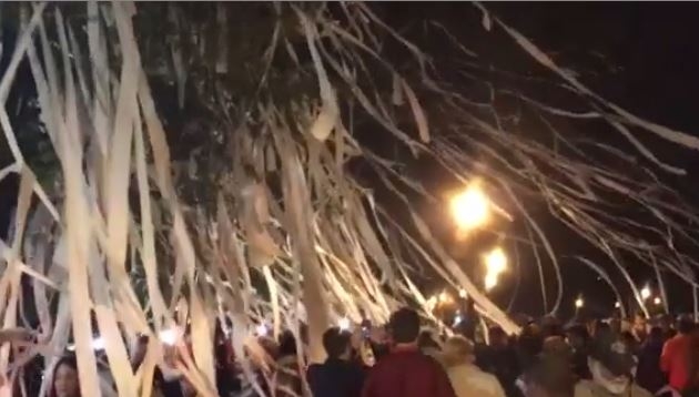 Auburn and Georgia's campuses in a frenzy