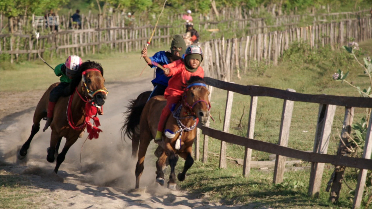 Inside the life of a child jockey