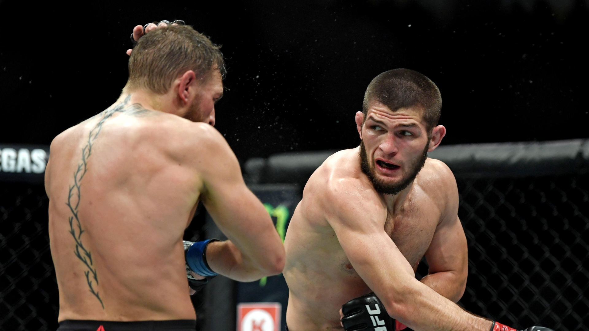 Cormier examines Khabib's technique vs. Conor