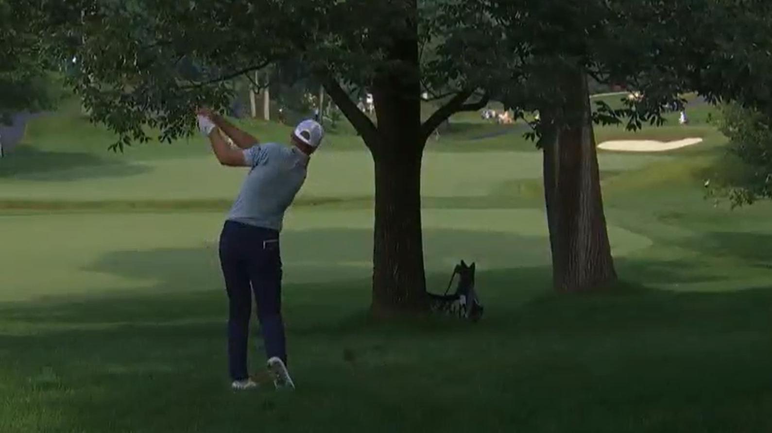 Sam Burns has some bad luck hitting this tree twice
