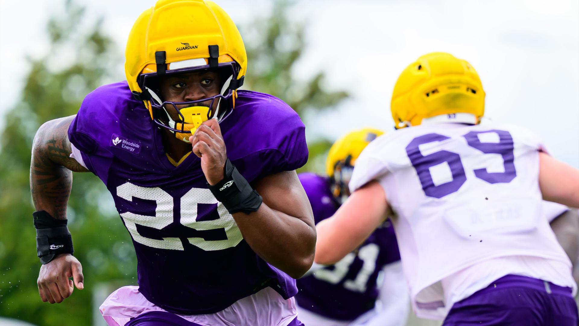 Roman Harper says LSU passes the eye test, showing professional size