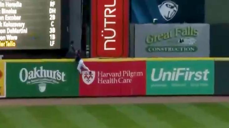 Minor leaguer scales wall for outrageous HR robbery