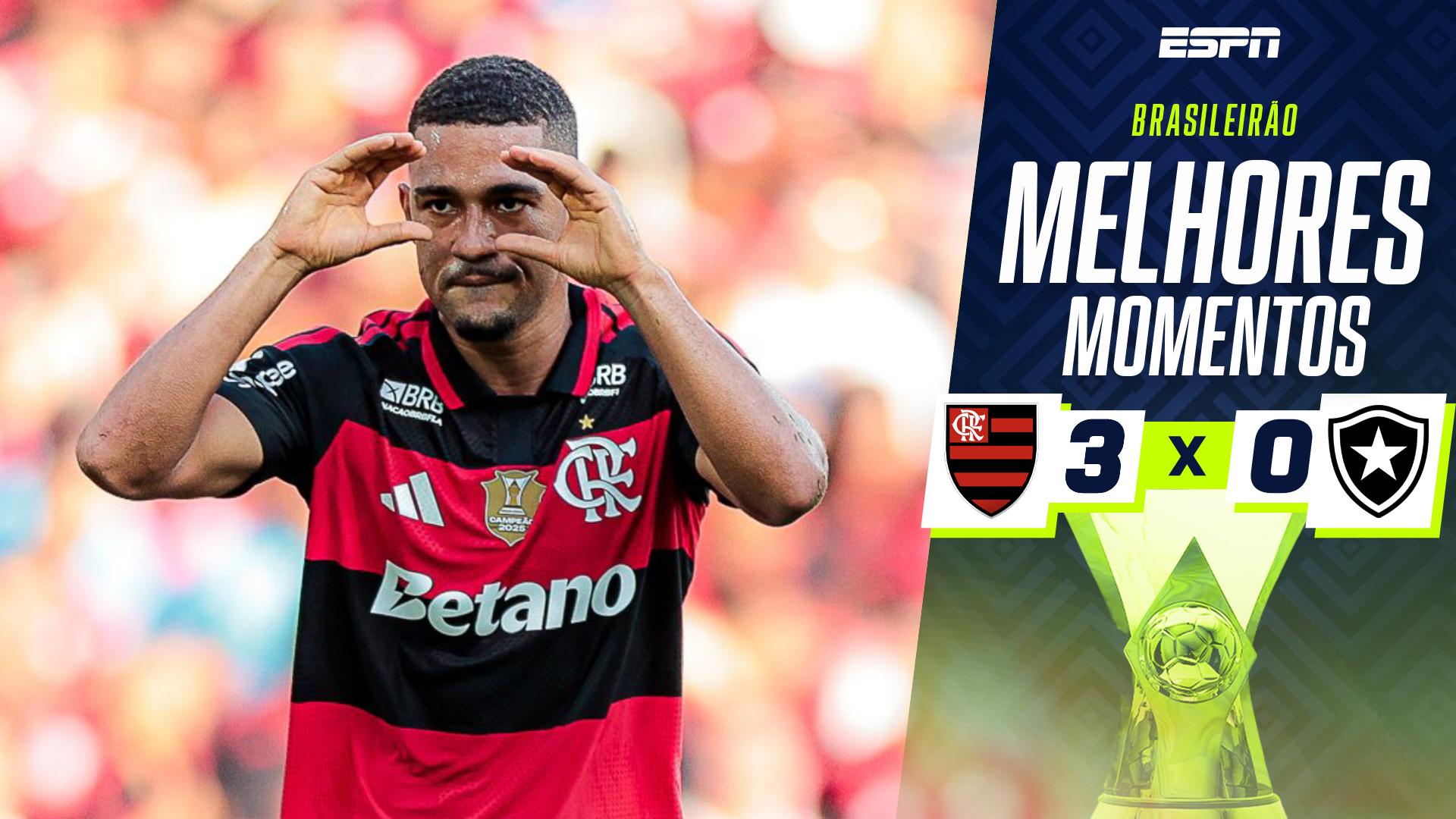Flamengo vence o Botafogo e pressiona Palmeiras na liderança do Brasileirão; VEJA como foi