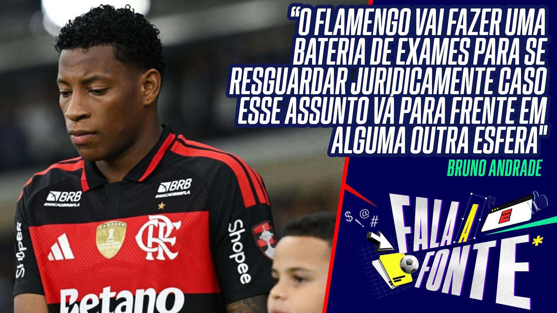 Questões médicas, comunicado 'incerto' e transferência frustrada: os bastidores da 'devolução' do Dínamo de Plata e Matheus Martins a Flamengo e Botafogo