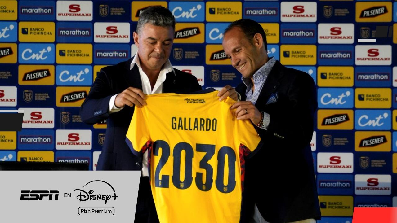 Gallardo: "Vamos a tratar de respetar la convocatoria mundialista"