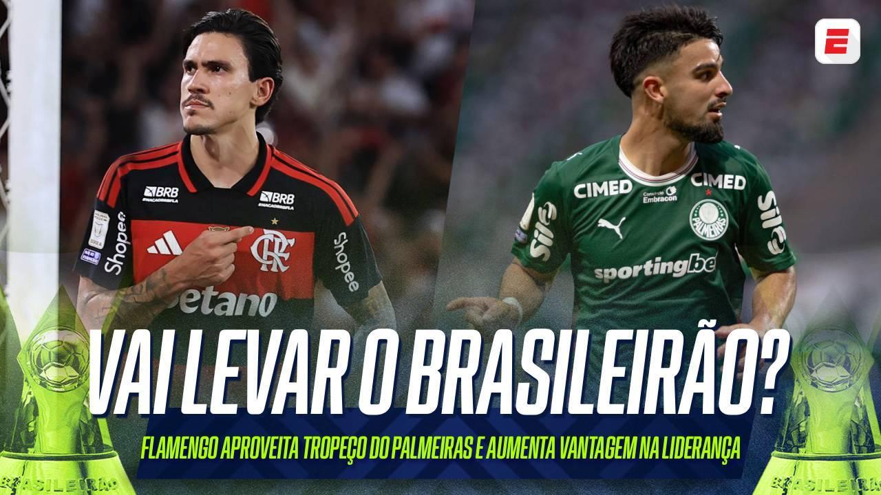 Flamengo aumenta chances de título do Brasileirão após tropeço do Palmeiras; VEJA probabilidade
