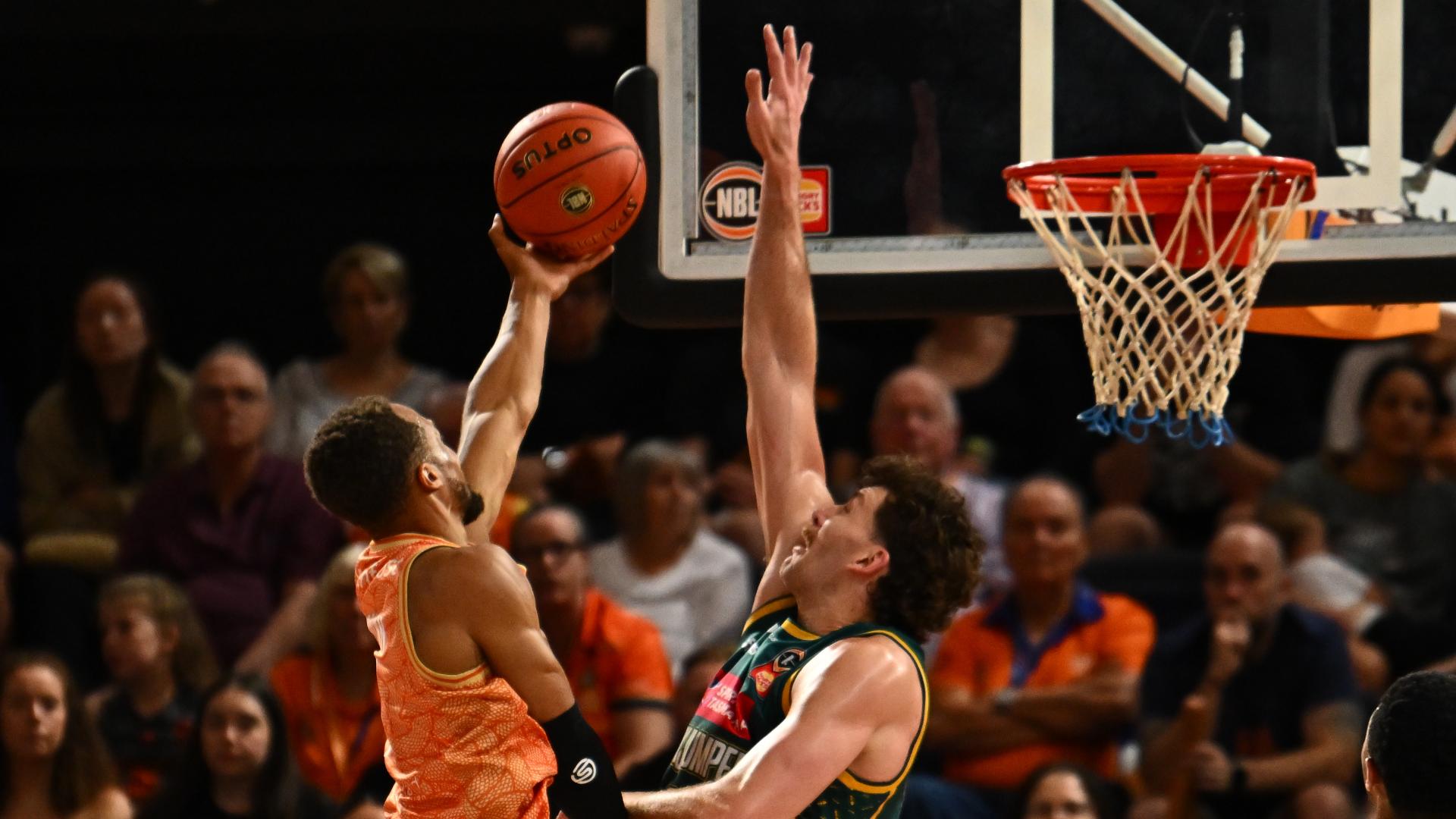 Will Magnay swats a pair of Taipans