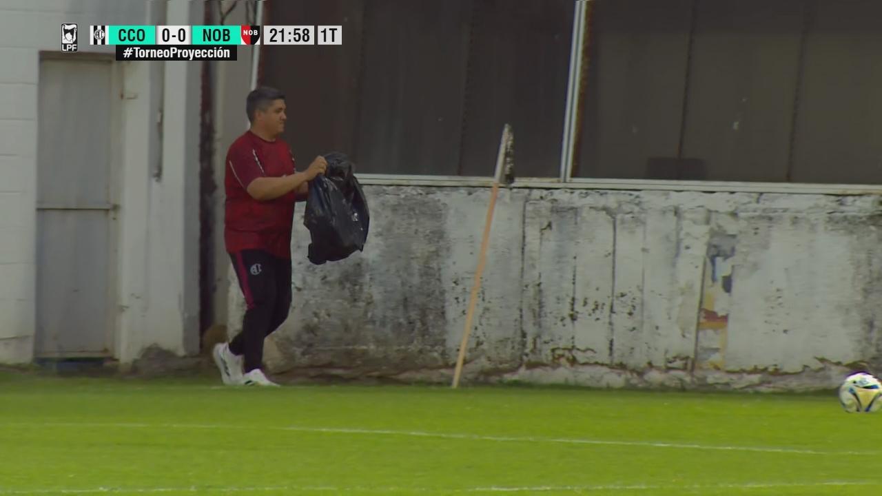 Central Córdoba vs Newell's, demorado por invasión de avispas