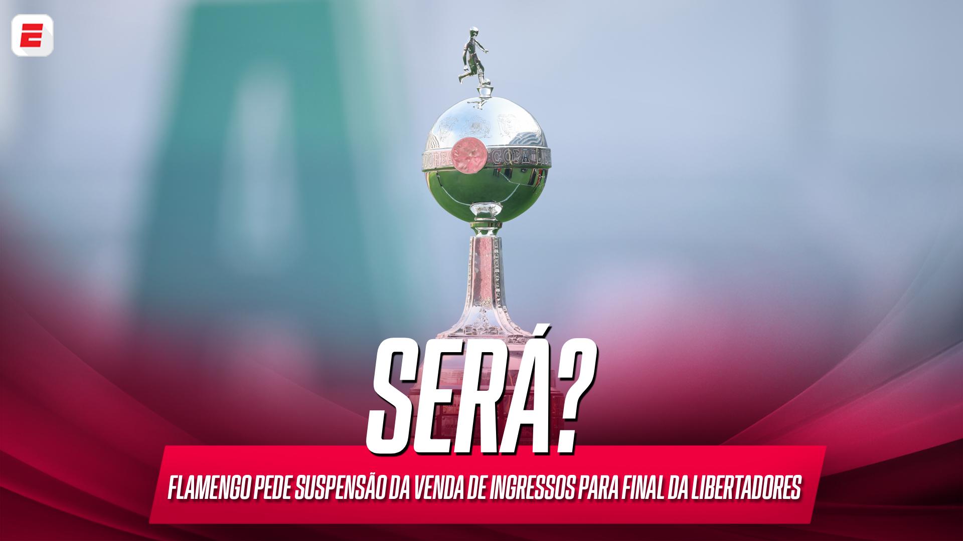 Flamengo tenta suspender venda de ingressos para final da Libertadores entre Palmeiras x Estudiantes; VEJA