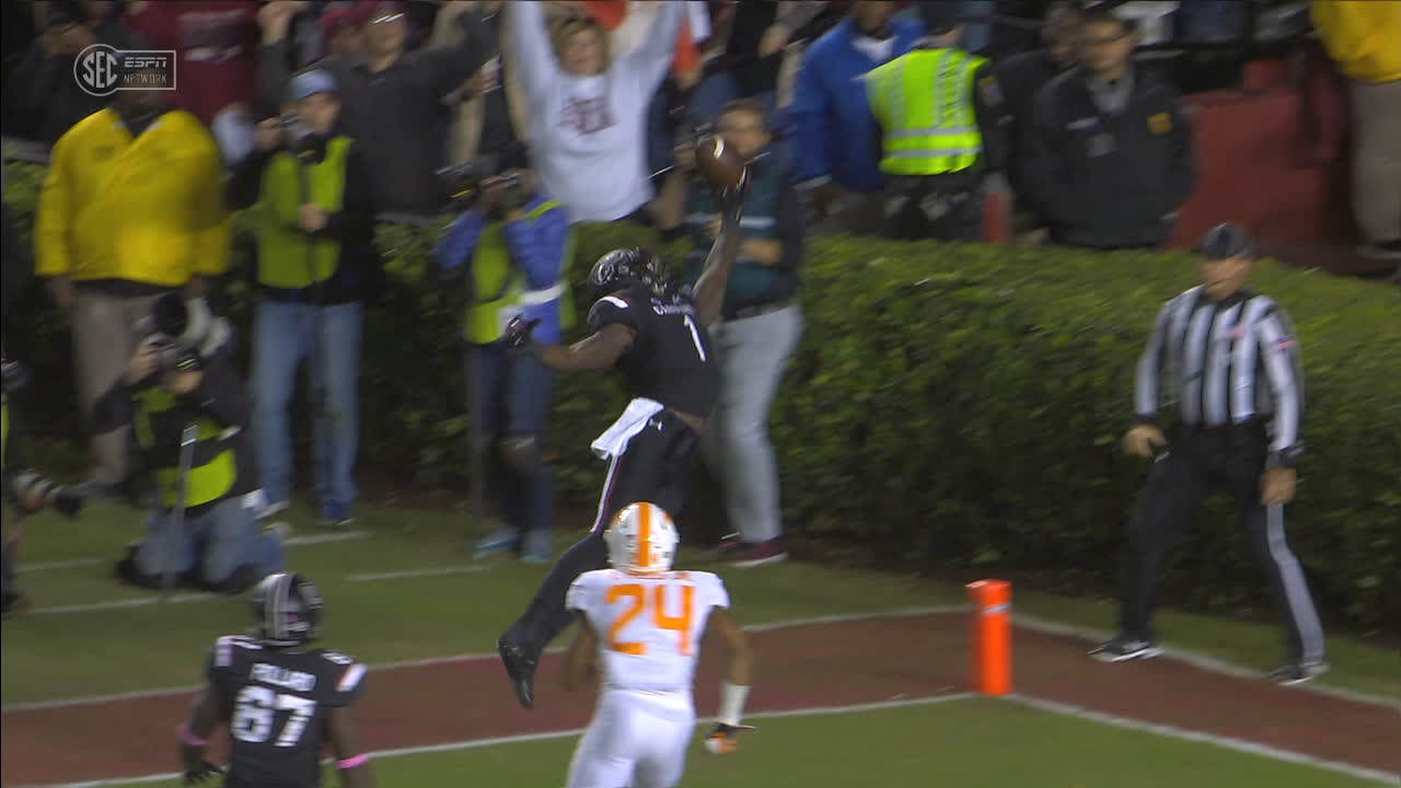 Samuel hauls in a crazy one-handed 3-yard TD
