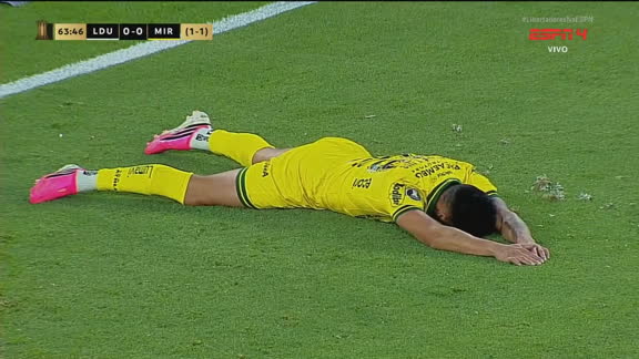 LDU VS MIR