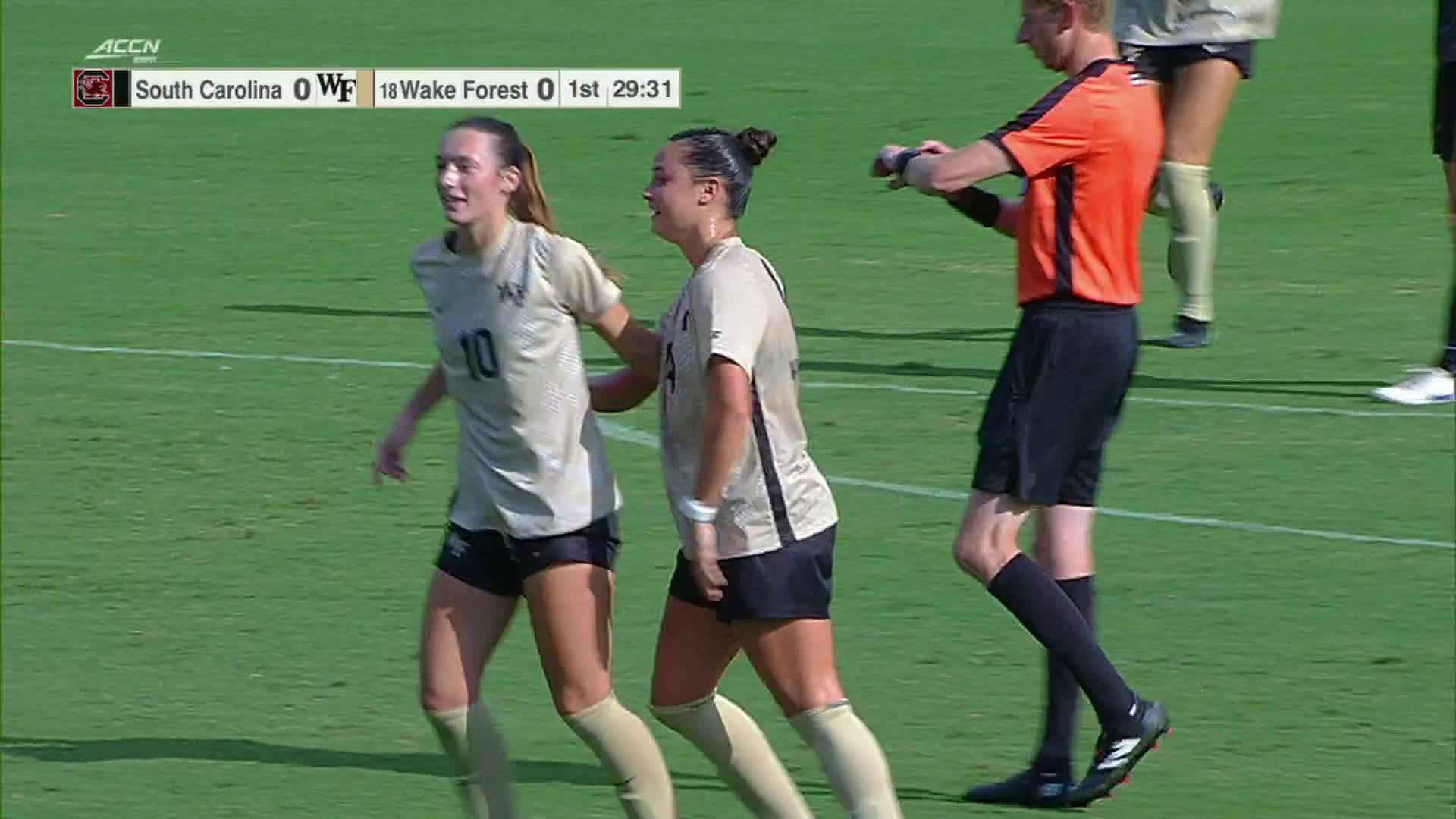 South Carolina vs. Wake Forest: Game Highlights