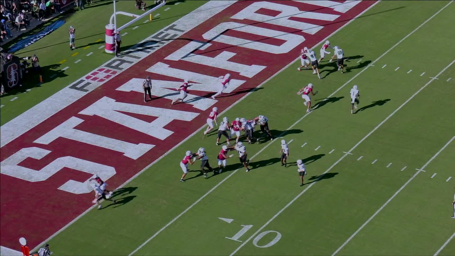DeVon Rice crosses goal line for 3-yard touchdown