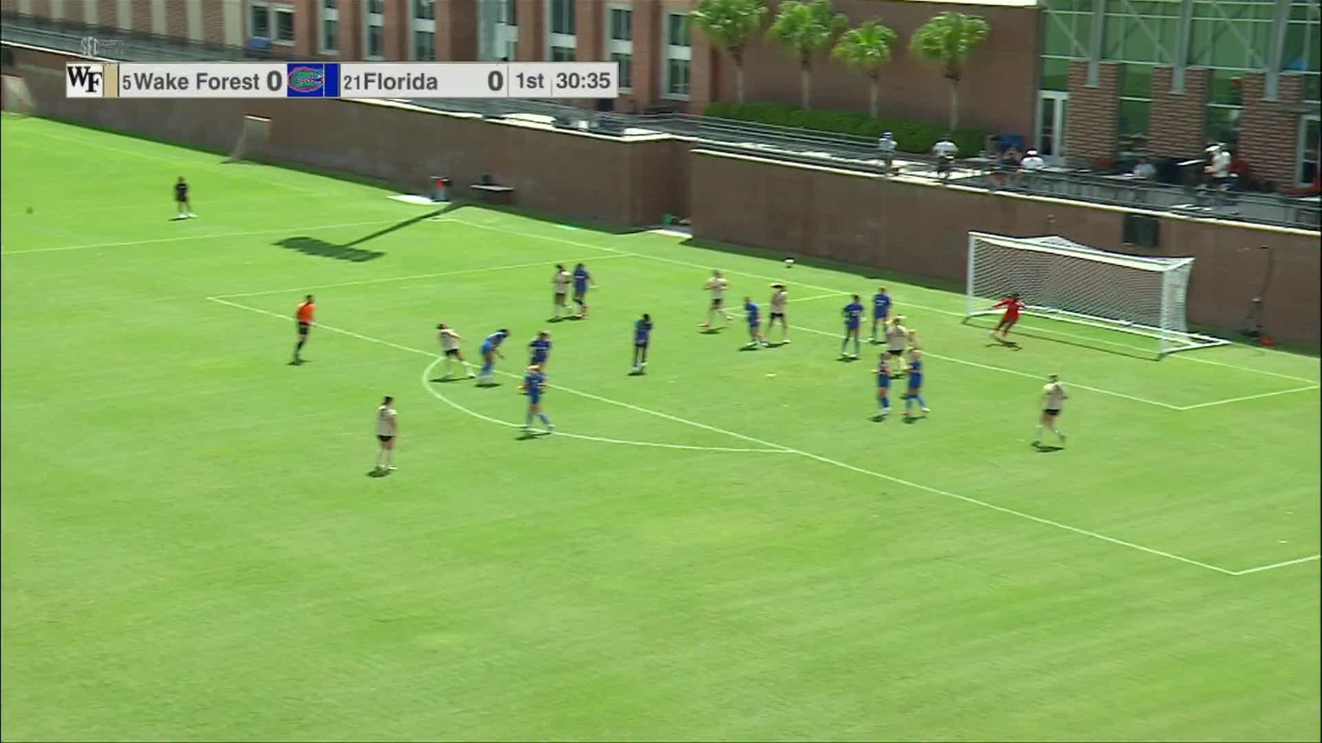 Wake Forest vs. Florida: Game Highlights