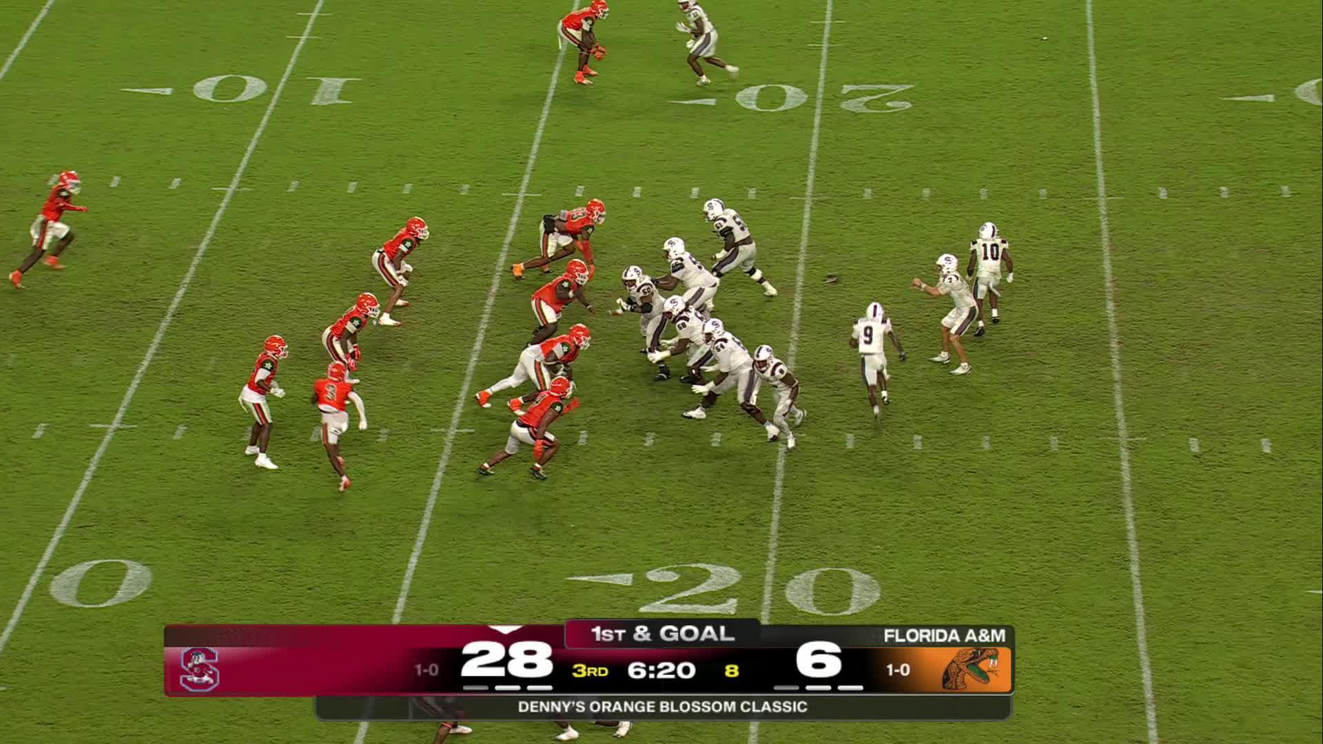 South Carolina State Bulldogs vs. Florida A&M Rattlers: Full Highlights