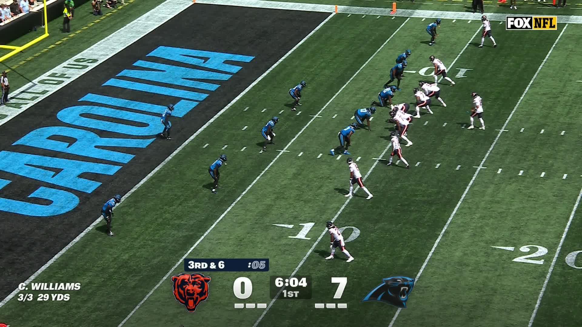 Chicago Bears vs. Carolina Panthers: Game Highlights