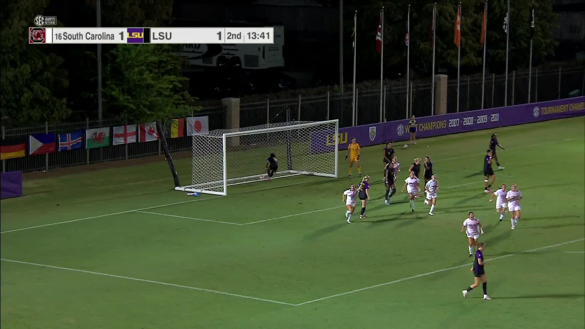 South Carolina vs. LSU: Game Highlights