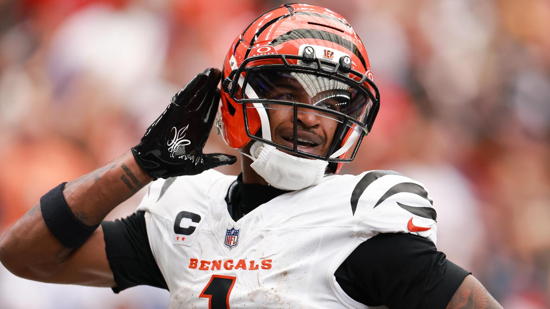 Cincinnati Bengals vs. Houston Texans: Game Highlights