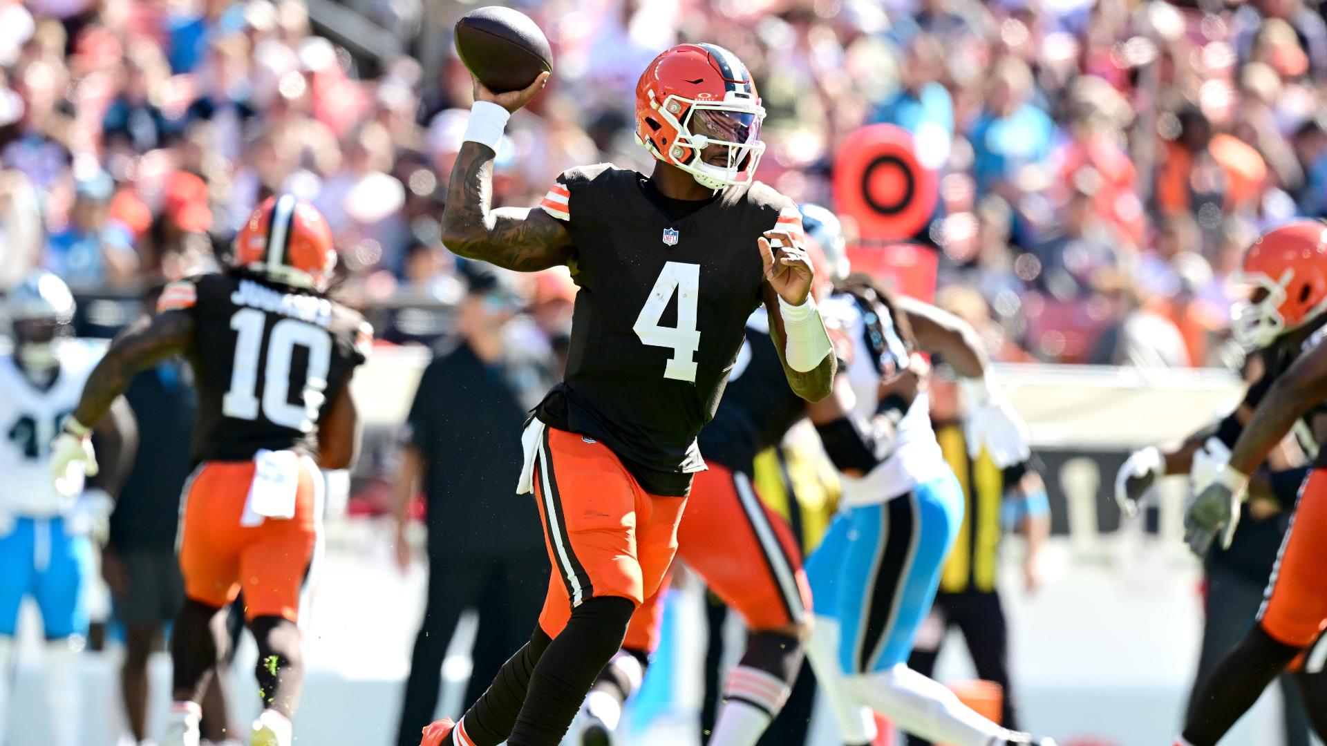 Carolina Panthers vs. Cleveland Browns: Game Highlights