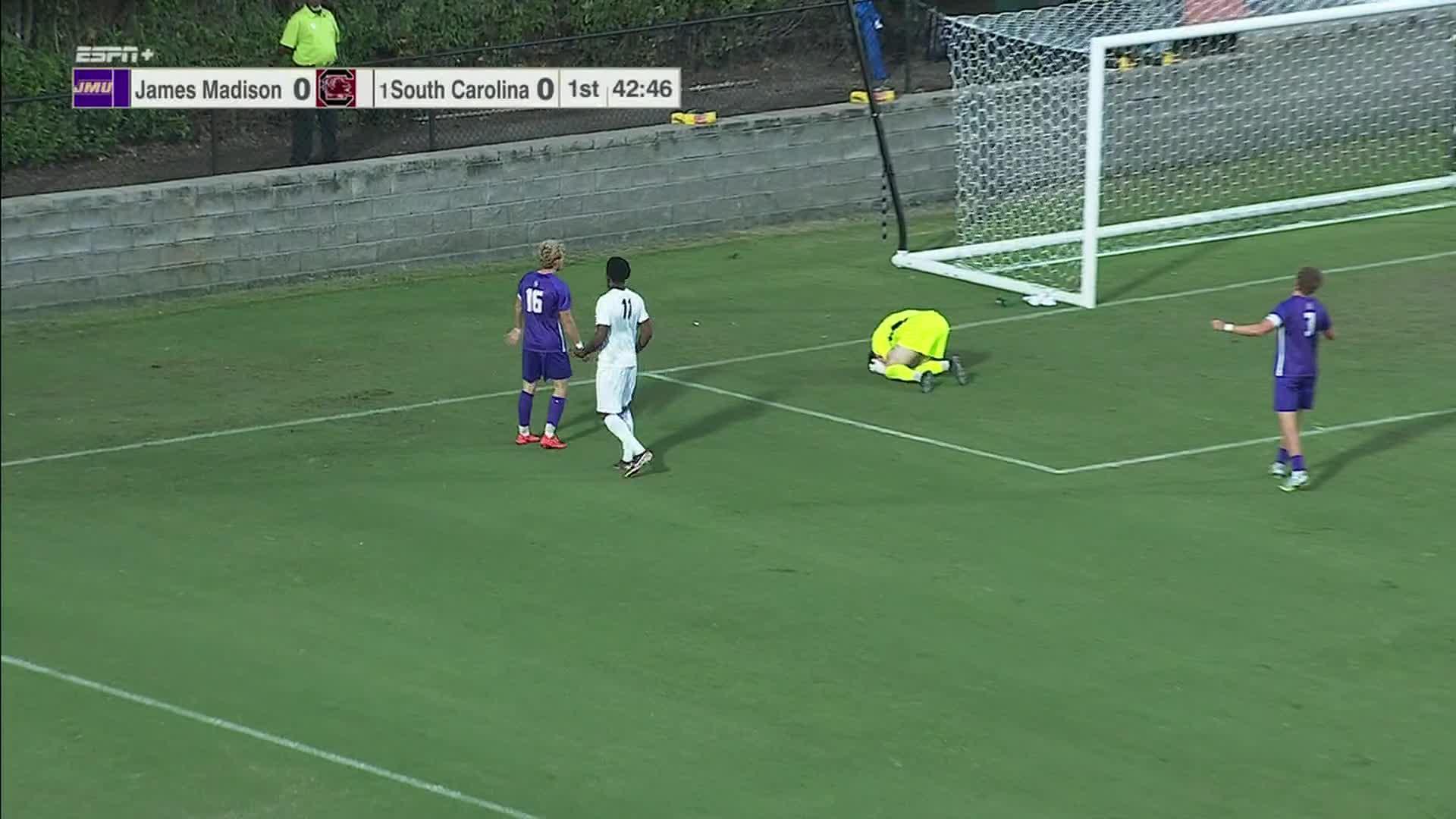 James Madison vs. South Carolina: Game Highlights