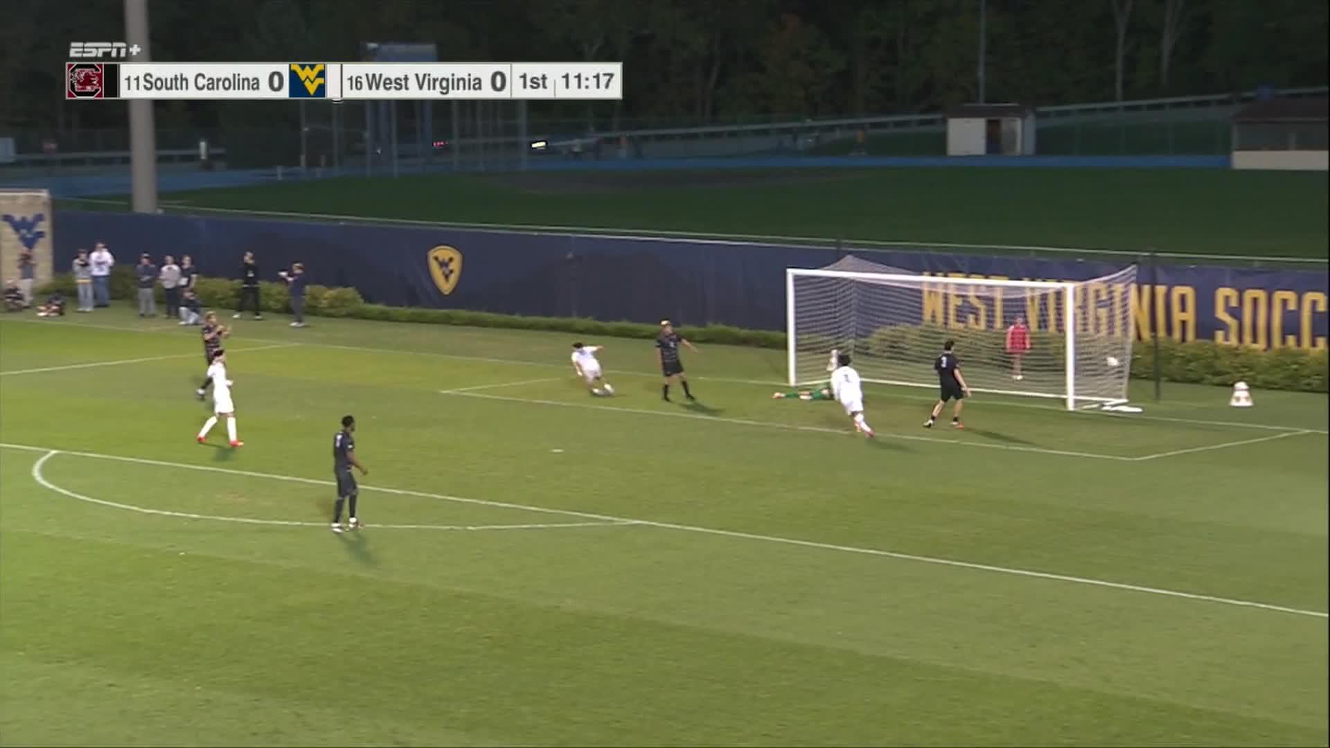 South Carolina vs. West Virginia: Game Highlights
