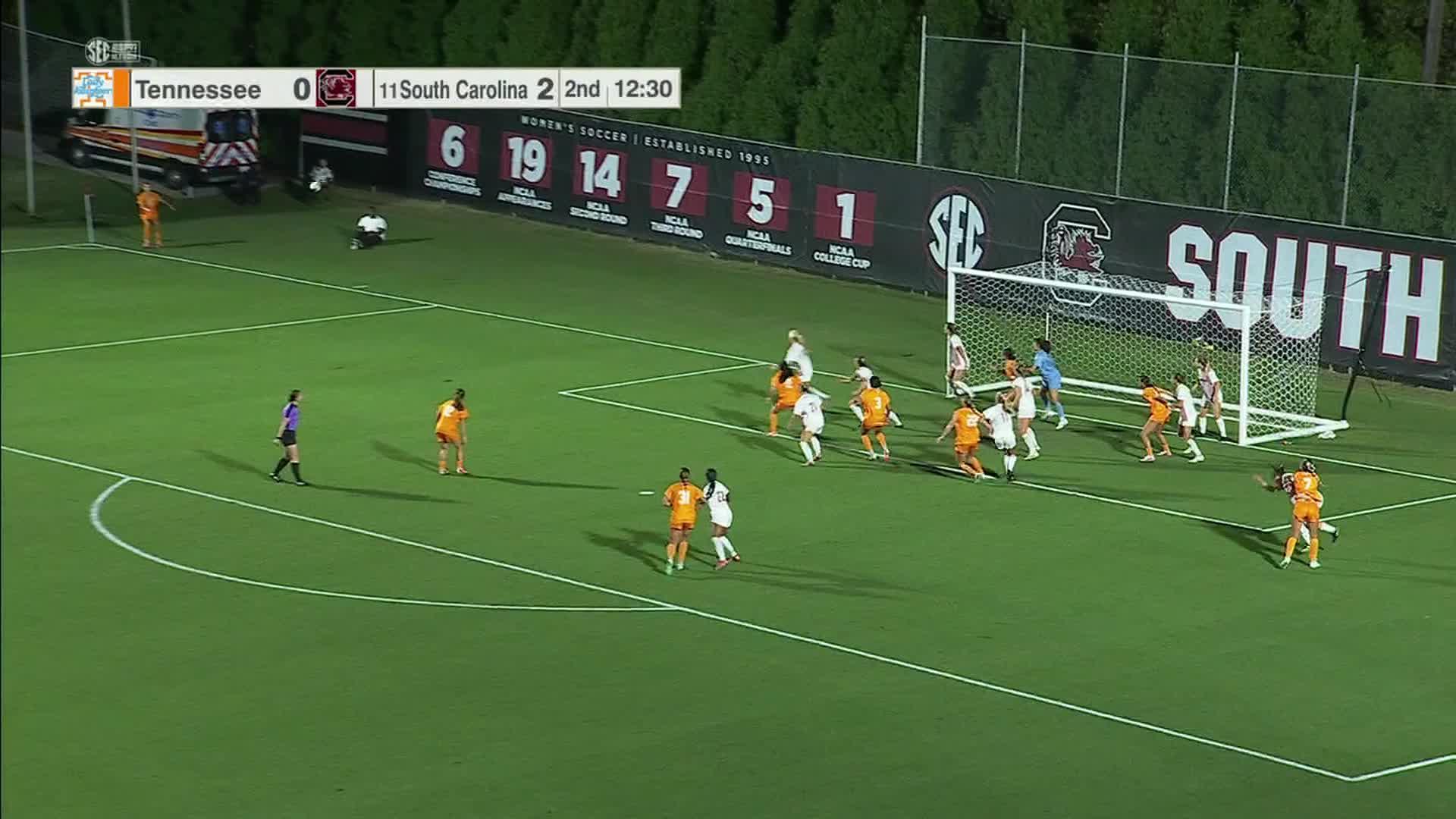 Tennessee vs. South Carolina: Game Highlights